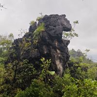 評論圖片 8