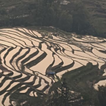 評論圖片 4