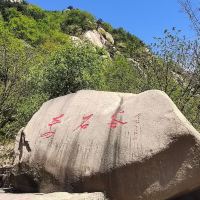 評論圖片 6