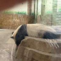 評論圖片 3