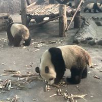 評論圖片 8