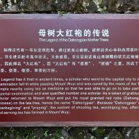 評論圖片 2
