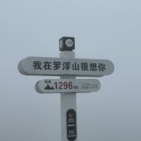 評論圖片 8