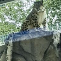 評論圖片 5