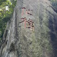 評論圖片 3