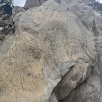 評論圖片 1