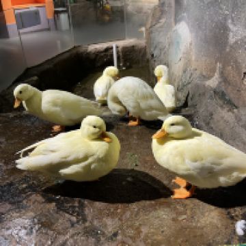 評論圖片 2