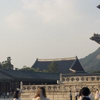 評論圖片 6