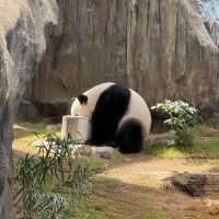 評論圖片 3