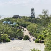 評論圖片 3