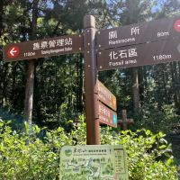 評論圖片 2
