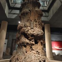 評論圖片 7