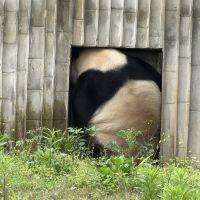 評論圖片 4
