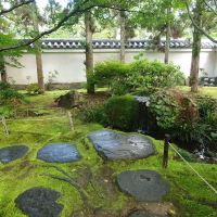評論圖片 1