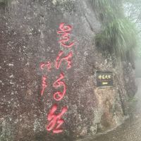 評論圖片 9