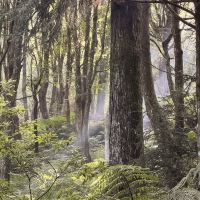 評論圖片 1