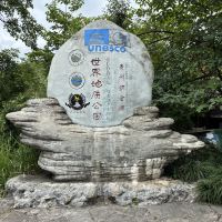 評論圖片 5