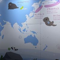 評論圖片 3