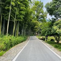 評論圖片 4