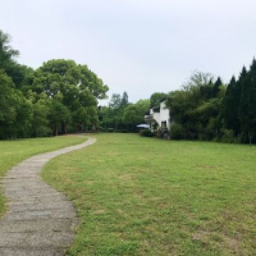 評論圖片 2