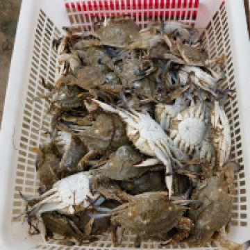 評論圖片 6