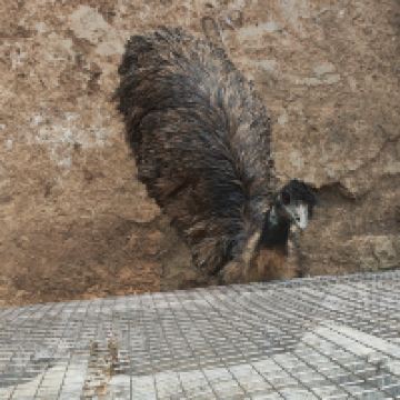 評論圖片 5