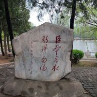 評論圖片 4