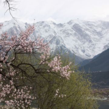 評論圖片 6