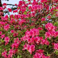 評論圖片 6