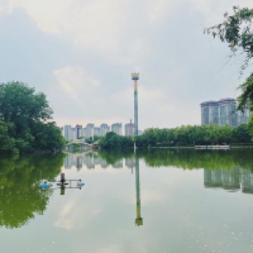 評論圖片 9