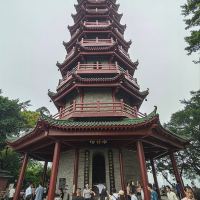 評論圖片 9