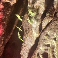 評論圖片 7