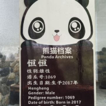 評論圖片 5