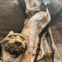 評論圖片 3