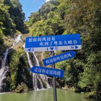 評論圖片 8