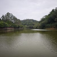 評論圖片 5