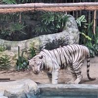 評論圖片 3