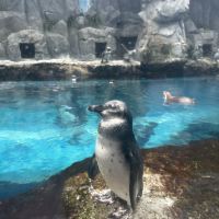 評論圖片 3