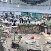 評論圖片 9