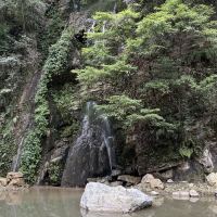 評論圖片 5