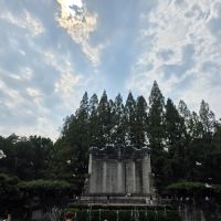 評論圖片 5