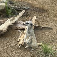 評論圖片 6
