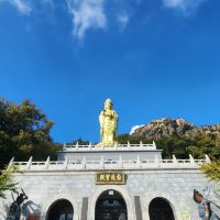 評論圖片 3