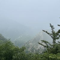 評論圖片 6