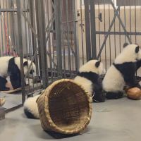 評論圖片 4