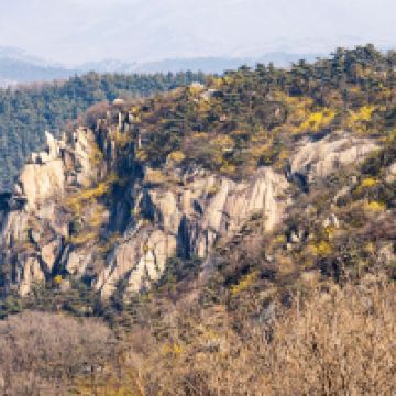 評論圖片 5