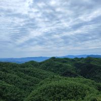 評論圖片 1