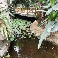 評論圖片 9