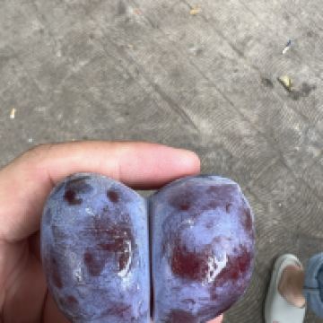 評論圖片 9