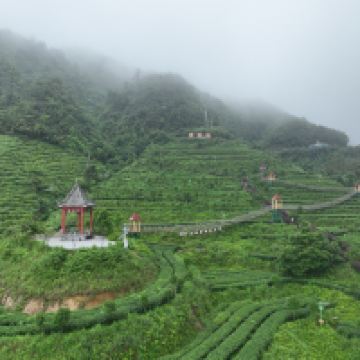 評論圖片 9